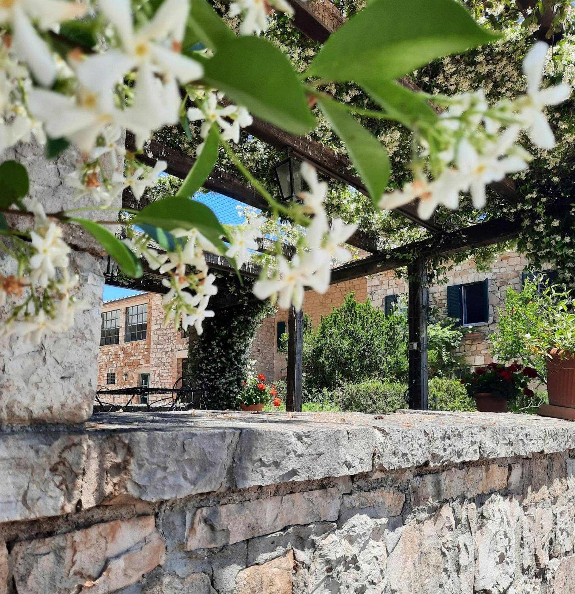 Agriturismo Tenuta Conti Faina Fratta Todina Экстерьер фото